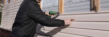 Best Vinyl Siding Installation  in Placitas, NM